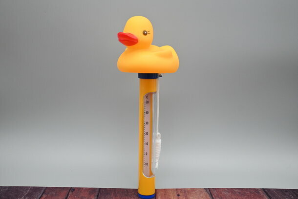 Pool-Thermometer Ente